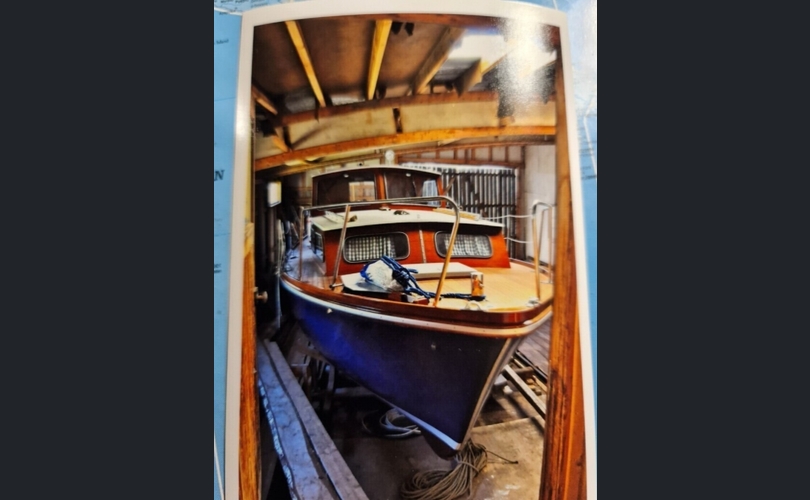 Family Cruiser Family Cruiser-kuva-2